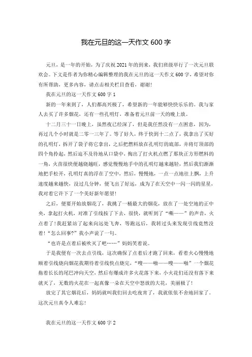 我在元旦的这一天作文600字