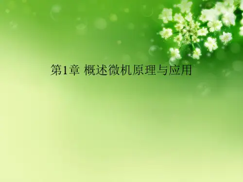 第1章 概述微机原理与应用优秀课件