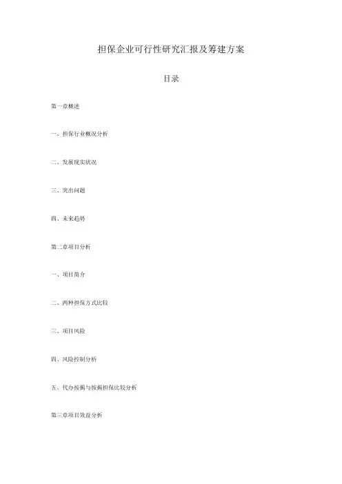 担保公司筹建方案及可行性研究