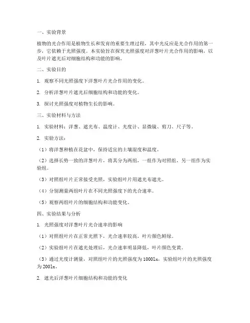 洋葱遮光实验报告结论