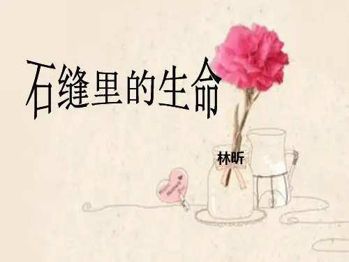 石缝里的生命-美文赏析