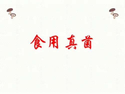 冀教版八上生物 5.食用真菌 课件  
