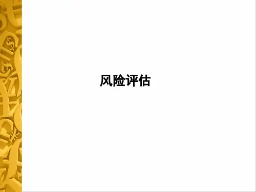 财务审计课件：风险评估