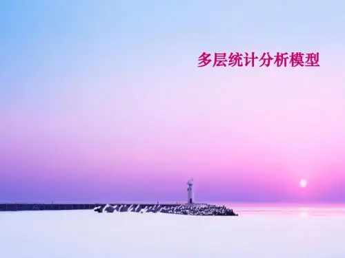 多层统计分析模型  ppt课件