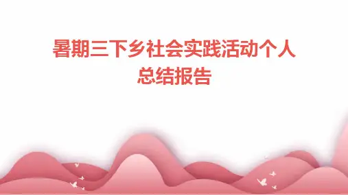 暑期三下乡社会实践活动个人总结报告PPT