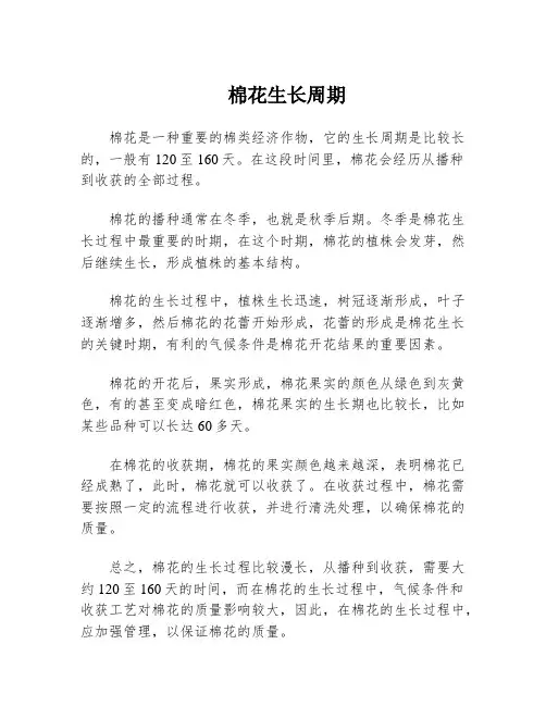 棉花生长周期