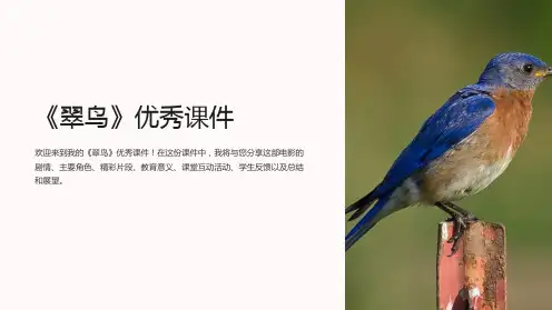 《翠鸟》优秀课件