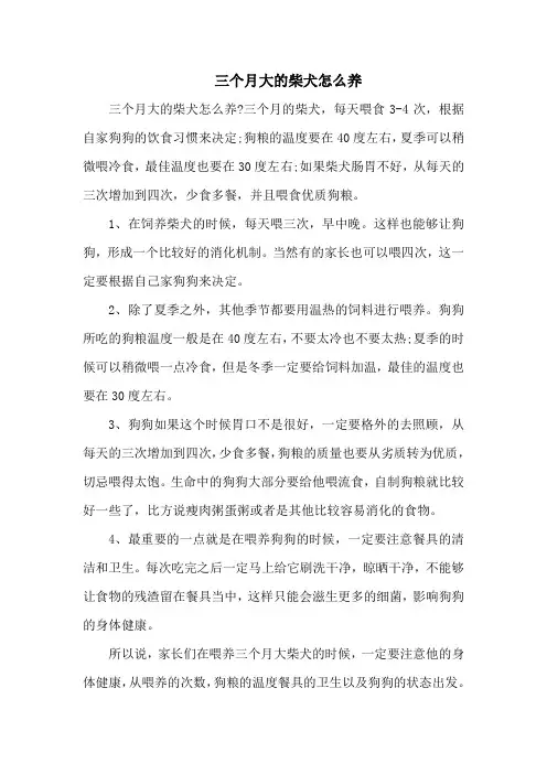 三个月大的柴犬怎么养