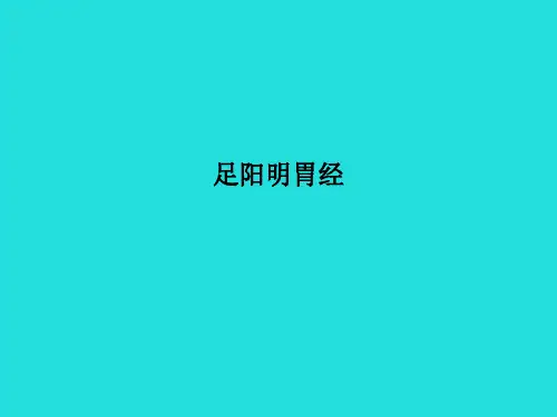 足阳明胃经PPT课件