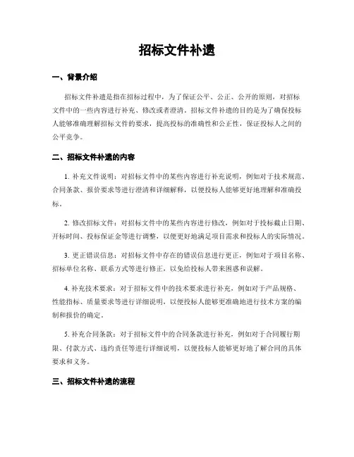 招标文件补遗