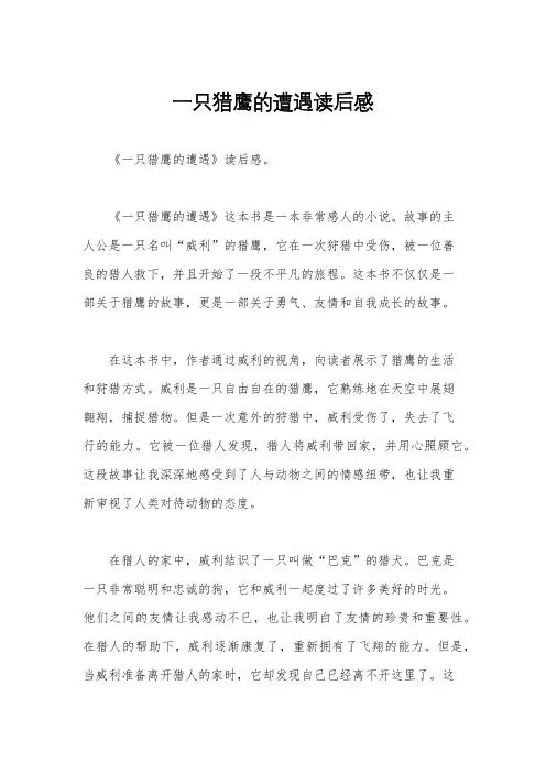 一只猎鹰的遭遇读后感