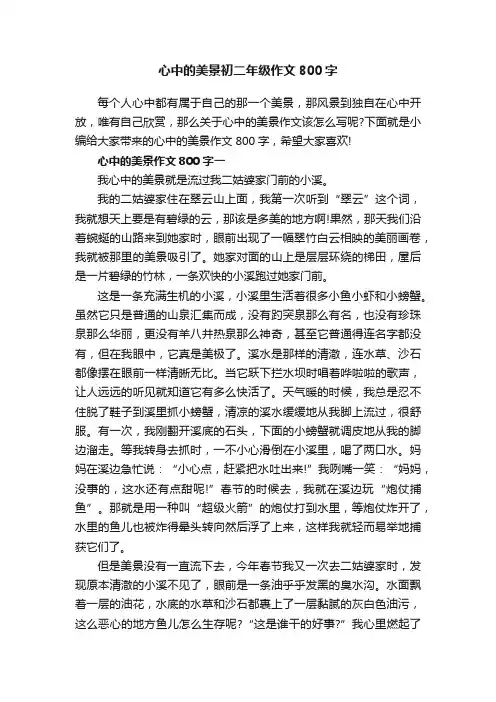 心中的美景初二年级作文800字