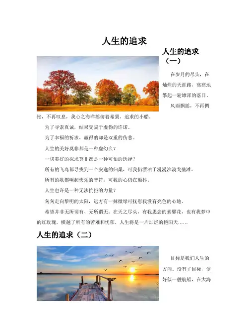 人生的追求(共10篇)