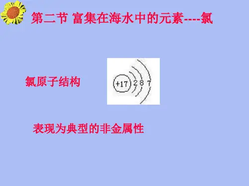 高中化学氯水ppt课件