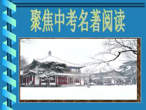名著导读复习市公开课获奖课件省名师示范课获奖课件