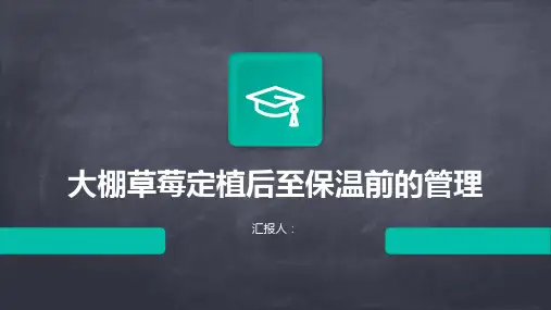 大棚草莓定植后至保温前的管理