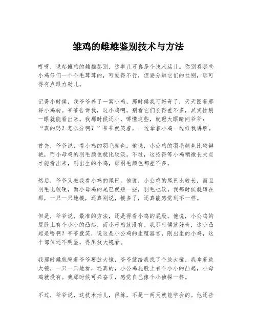 雏鸡的雌雄鉴别技术与方法