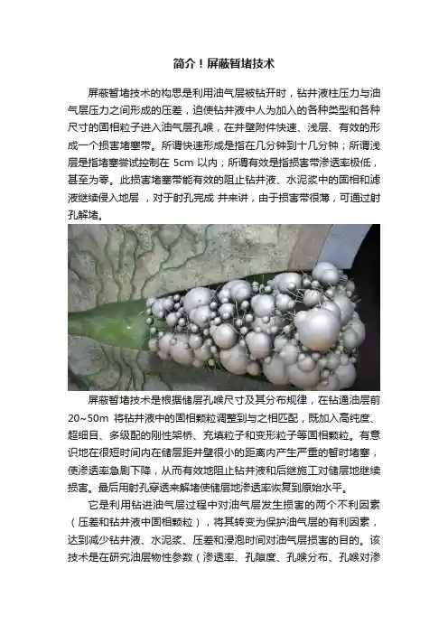 简介！屏蔽暂堵技术