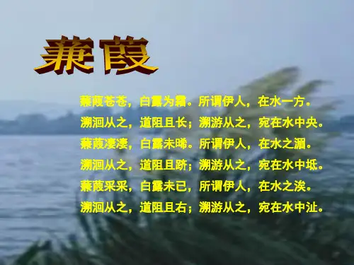 《蒹葭》赏析