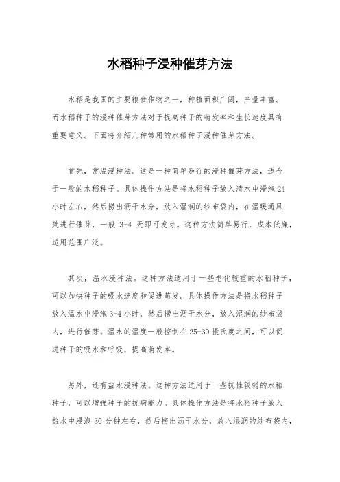 水稻种子浸种催芽方法