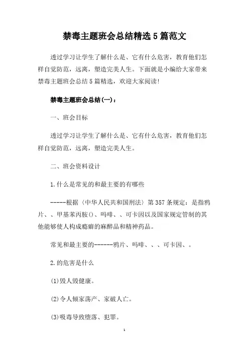 禁毒主题班会总结精选5篇范文.doc
