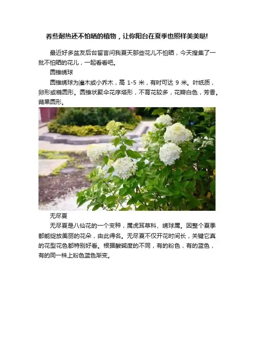 养些耐热还不怕晒的植物，让你阳台在夏季也照样美美哒!