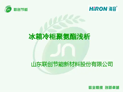 POL-发泡培训教材-联创-2013详解