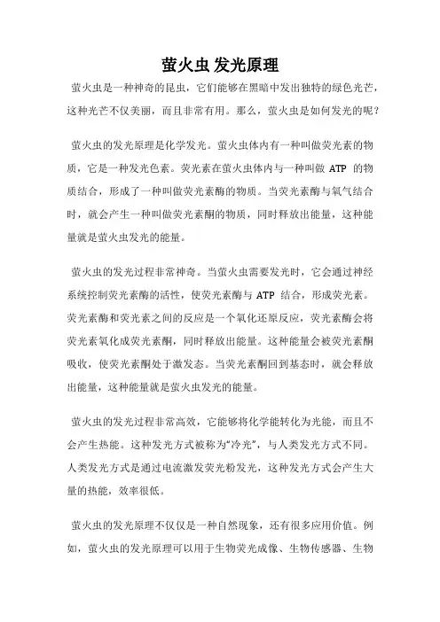 萤火虫 发光原理