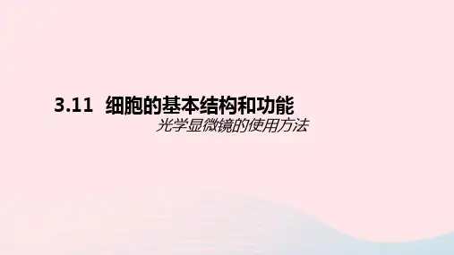 新版北师大七年级上册2.1.1-细胞的基本结构和功能：光学显微镜的使用方法