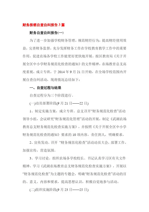 财务报销自查自纠报告3篇