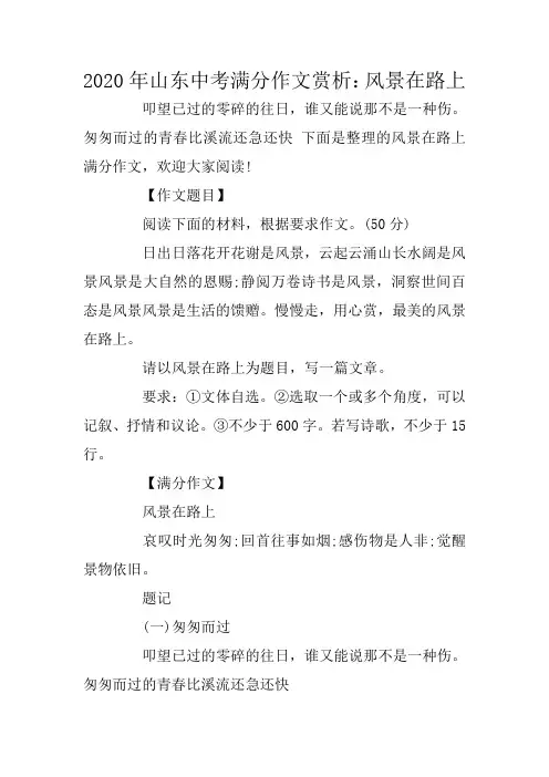 2020年山东中考满分作文赏析：风景在路上