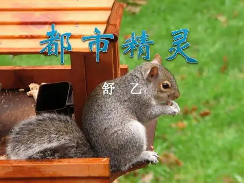 《都市精灵》课件(共48张PPT)