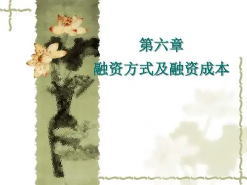 融资方式及融资成本ppt课件