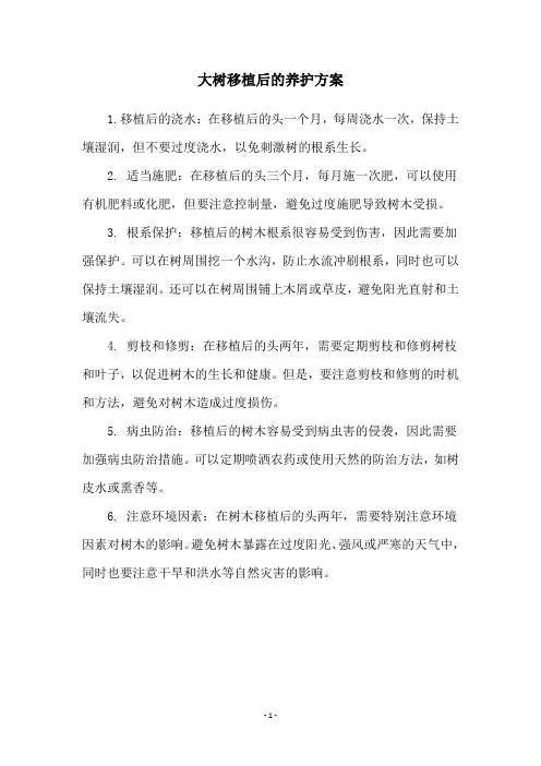 大树移植后的养护方案