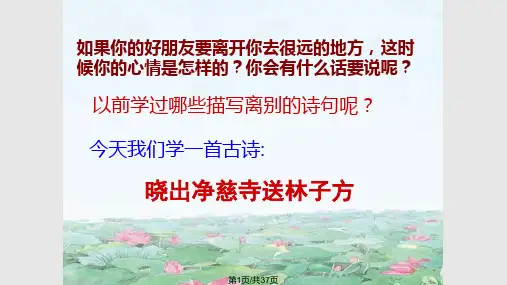 《晓出净慈寺送林子方》PPTPPT课件