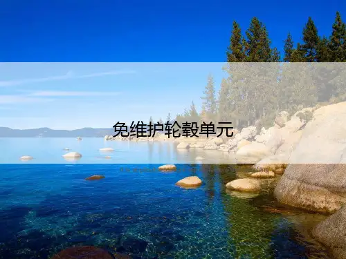 免维护轮毂单元