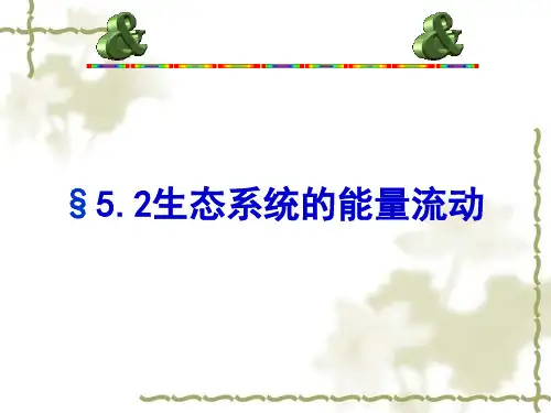 生态系统的能量流动优秀课件