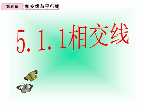 人教版七年级下册数学课件：5.1.1相交线(共29张PPT)