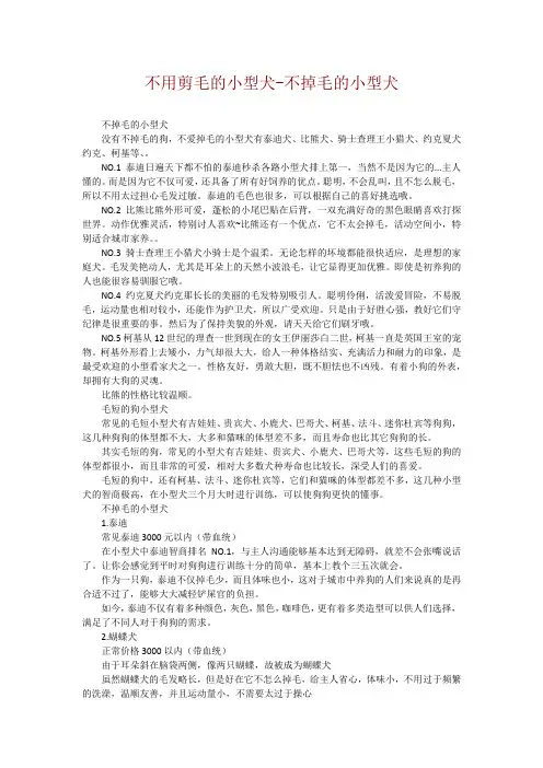 不用剪毛的小型犬-不掉毛的小型犬
