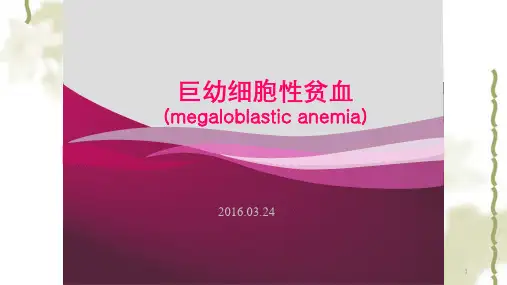 巨幼细胞性贫血ppt课件