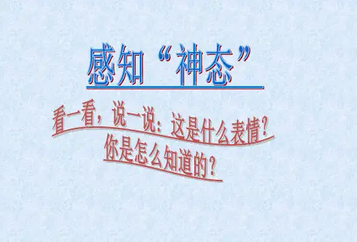 《神态描写》课件