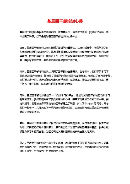 基层团干部培训心得