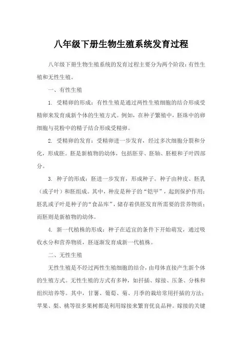 八年级下册生物生殖系统发育过程