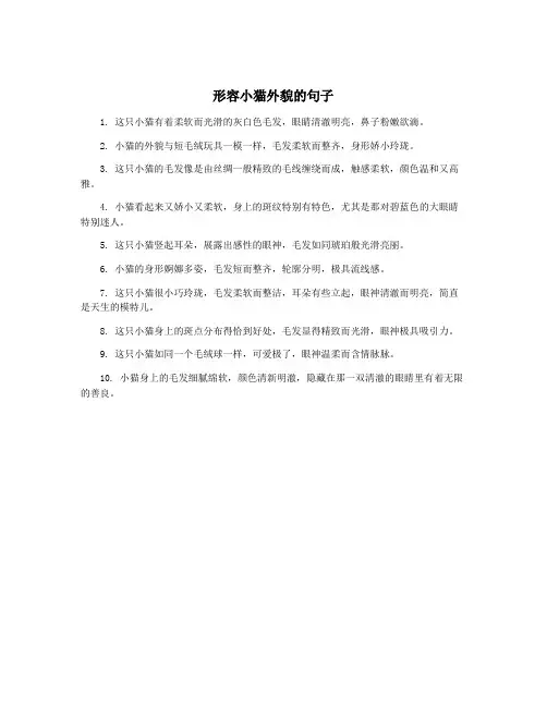 形容小猫外貌的句子