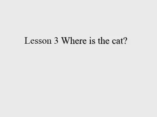 接力版三年级起点小学四年级英语上册Lesson 3 Where is the cat