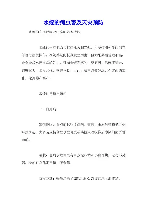 水蛭的病虫害及天灾预防
