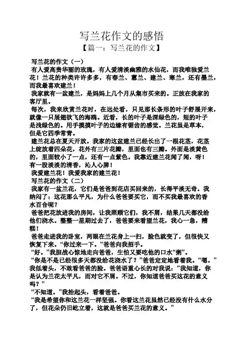 写兰花作文的感悟