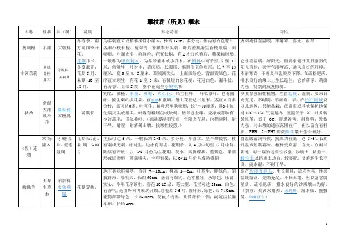 攀枝花灌木