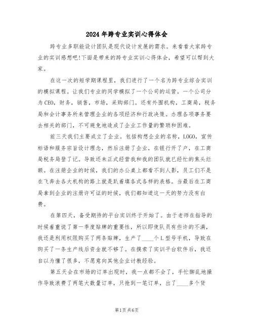 2024年跨专业实训心得体会(2篇)