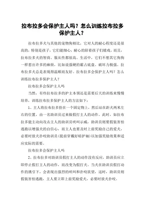 拉布拉多会保护主人吗？怎么训练拉布拉多保护主人？